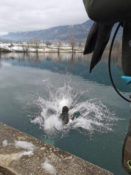 Potop drevesca Foto Som (5)